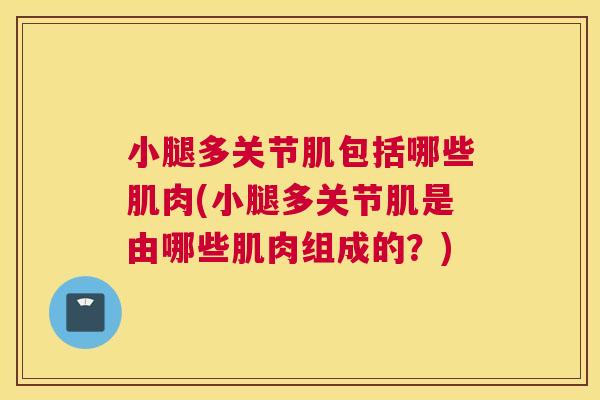 小腿多关节肌包括哪些肌肉(小腿多关节肌是由哪些肌肉组成的？)