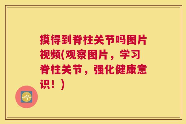 摸得到脊柱关节吗图片视频(观察图片，学习脊柱关节，强化健康意识！)
