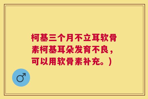 柯基三个月不立耳软骨素柯基耳朵发育不良，可以用软骨素补充。)
