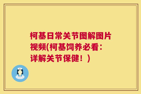 柯基日常关节图解图片视频(柯基饲养必看：详解关节保健！)