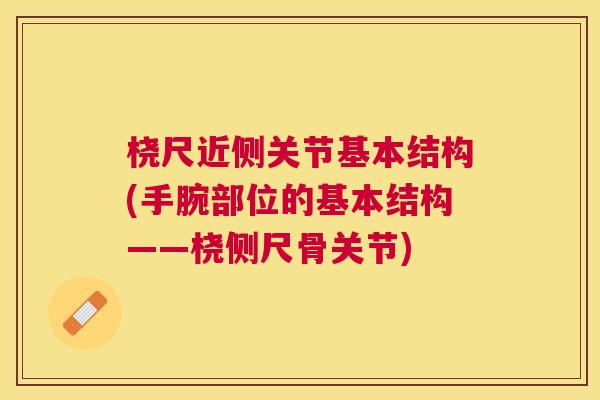 桡尺近侧关节基本结构(手腕部位的基本结构——桡侧尺骨关节)