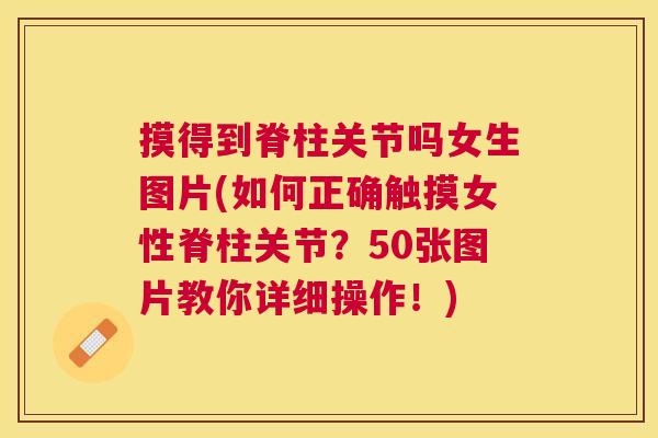 摸得到脊柱关节吗女生图片(如何正确触摸女性脊柱关节？50张图片教你详细操作！)