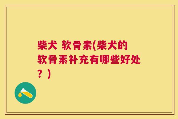 柴犬 软骨素(柴犬的软骨素补充有哪些好处？)