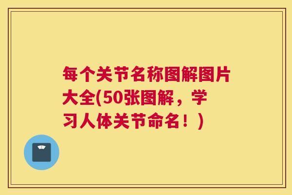 每个关节名称图解图片大全(50张图解，学习人体关节命名！)