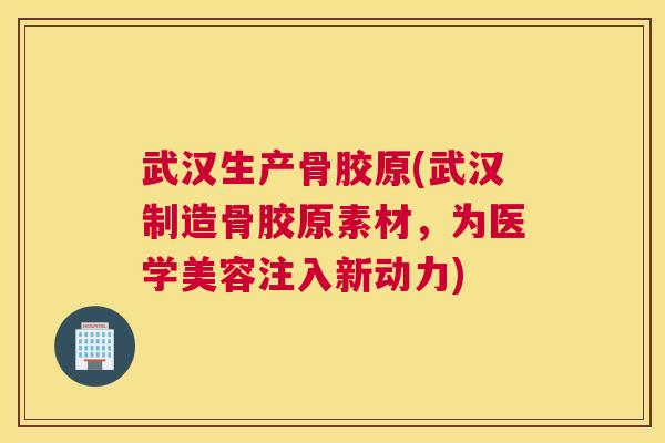 武汉生产骨胶原(武汉制造骨胶原素材，为医学美容注入新动力)