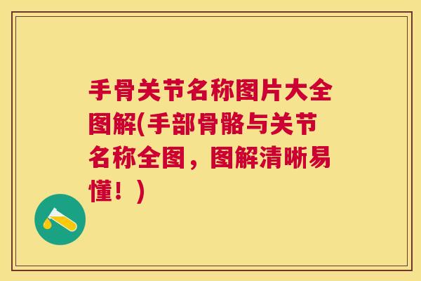 手骨关节名称图片大全图解(手部骨骼与关节名称全图，图解清晰易懂！)