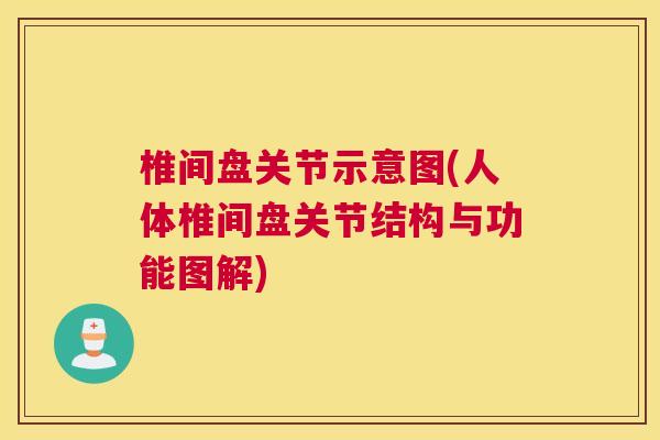 椎间盘关节示意图(人体椎间盘关节结构与功能图解)