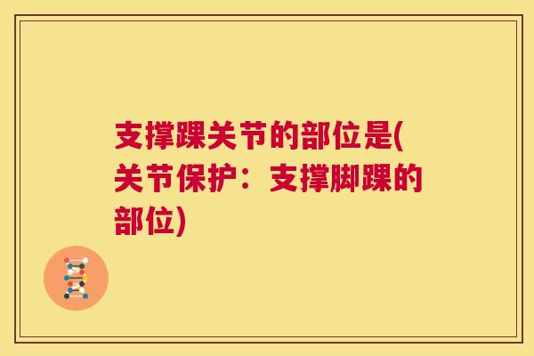 支撑踝关节的部位是(关节保护：支撑脚踝的部位)
