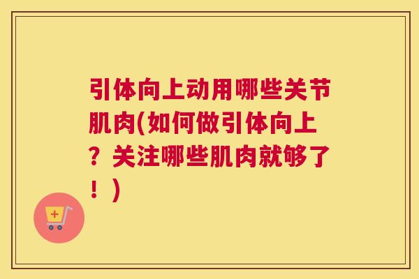 引体向上动用哪些关节肌肉(如何做引体向上？关注哪些肌肉就够了！)