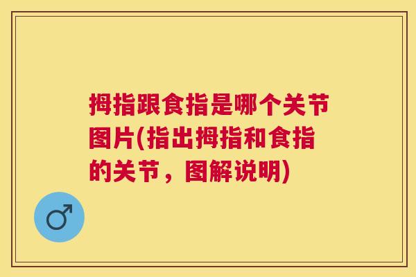 拇指跟食指是哪个关节图片(指出拇指和食指的关节，图解说明)
