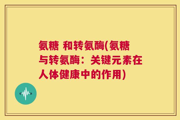 氨糖 和转氨酶(氨糖与转氨酶：关键元素在人体健康中的作用)