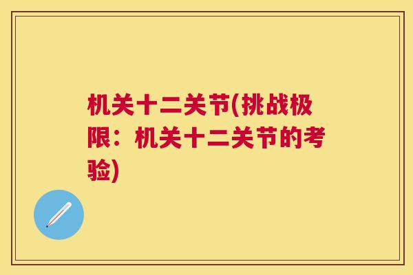 机关十二关节(挑战极限：机关十二关节的考验)