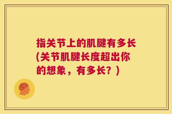 指关节上的肌腱有多长(关节肌腱长度超出你的想象，有多长？)