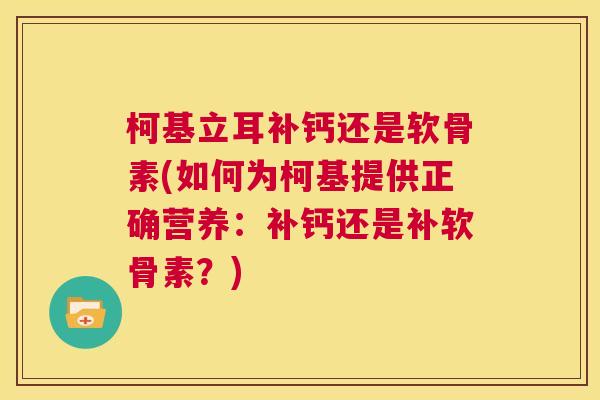 柯基立耳补钙还是软骨素(如何为柯基提供正确营养：补钙还是补软骨素？)