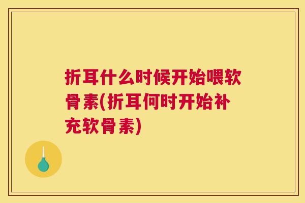 折耳什么时候开始喂软骨素(折耳何时开始补充软骨素)