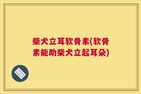 柴犬立耳软骨素(软骨素能助柴犬立起耳朵)