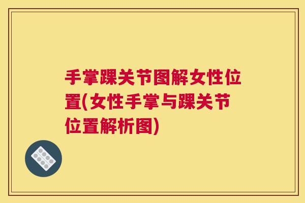 手掌踝关节图解女性位置(女性手掌与踝关节位置解析图) 手掌踝关节图解女性位置(女性手掌与踝关节位置解析图)