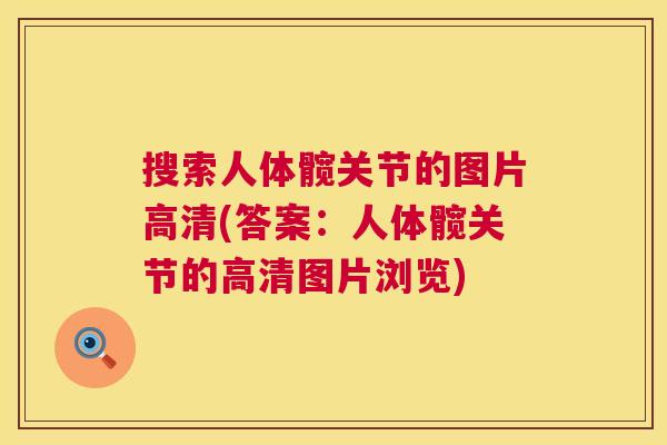 搜索人体髋关节的图片高清(答案：人体髋关节的高清图片浏览)