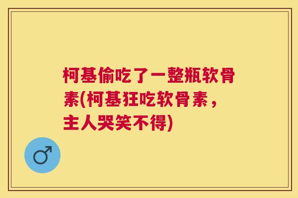 柯基偷吃了一整瓶软骨素(柯基狂吃软骨素，主人哭笑不得)