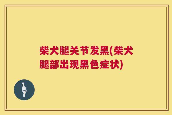 柴犬腿关节发黑(柴犬腿部出现黑色症状)