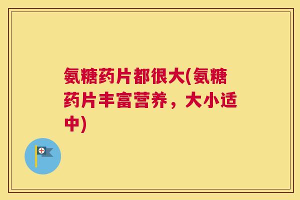 氨糖药片都很大(氨糖药片丰富营养，大小适中)