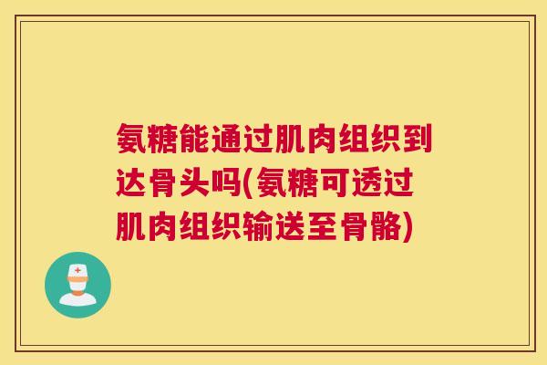 氨糖能通过肌肉组织到达骨头吗(氨糖可透过肌肉组织输送至骨骼)