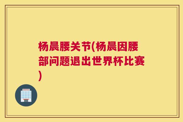 杨晨腰关节(杨晨因腰部问题退出世界杯比赛)
