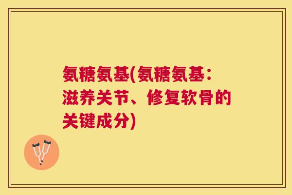 氨糖氨基(氨糖氨基：滋养关节、修复软骨的关键成分)