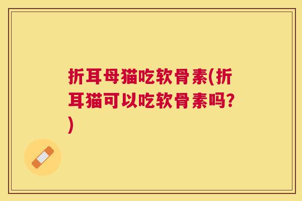 折耳母猫吃软骨素(折耳猫可以吃软骨素吗？)