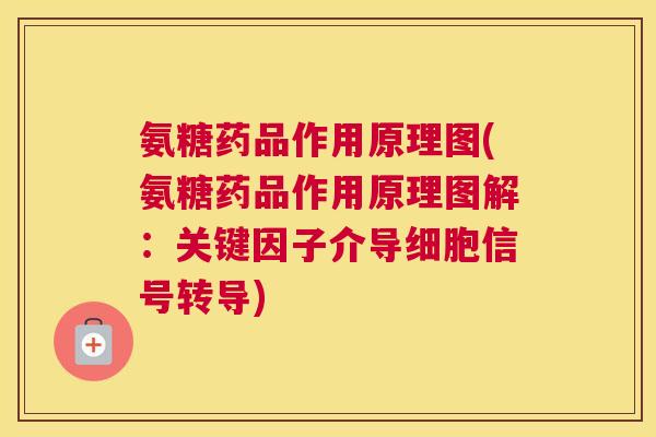 氨糖药品作用原理图(氨糖药品作用原理图解：关键因子介导细胞信号转导)