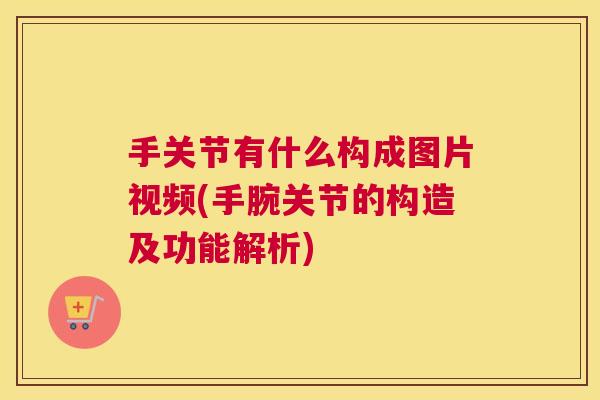 手关节有什么构成图片视频(手腕关节的构造及功能解析)