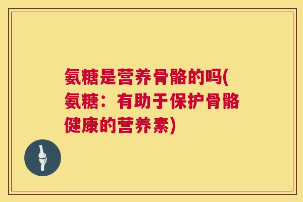 氨糖是营养骨骼的吗(氨糖：有助于保护骨骼健康的营养素)