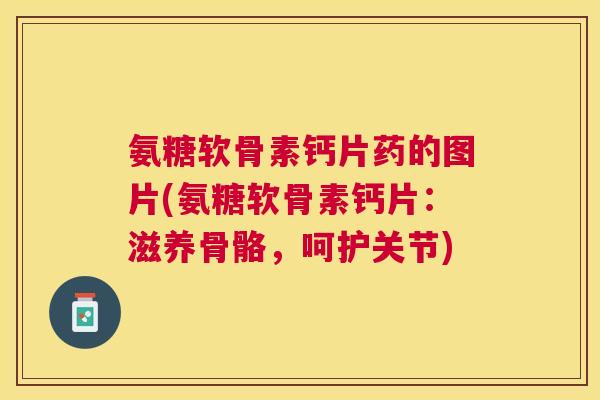 氨糖软骨素钙片药的图片(氨糖软骨素钙片：滋养骨骼，呵护关节)