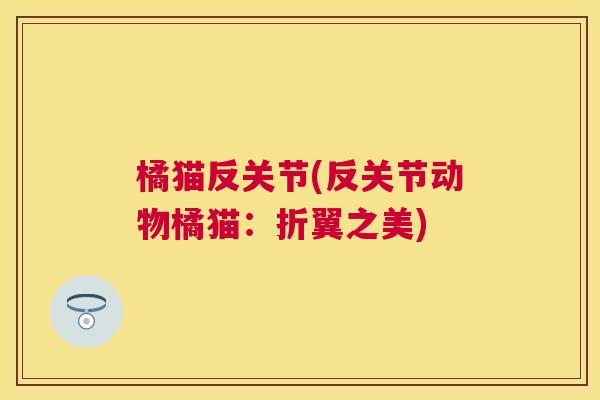 橘猫反关节(反关节动物橘猫：折翼之美)
