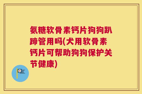 氨糖软骨素钙片狗狗趴蹄管用吗(犬用软骨素钙片可帮助狗狗保护关节健康)