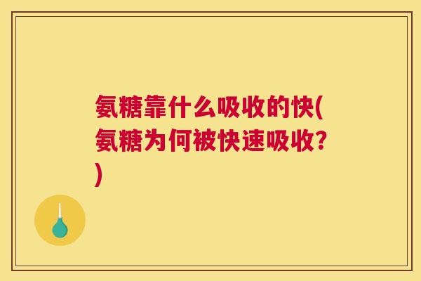 氨糖靠什么吸收的快(氨糖为何被快速吸收？)