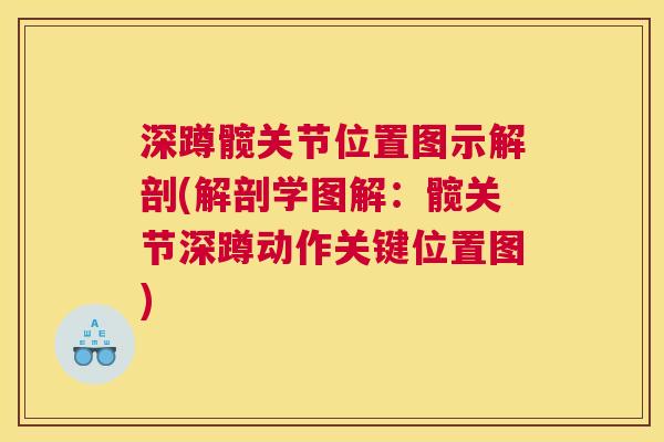 深蹲髋关节位置图示解剖(解剖学图解：髋关节深蹲动作关键位置图)