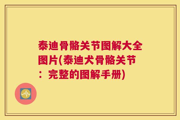 泰迪骨骼关节图解大全图片(泰迪犬骨骼关节：完整的图解手册)