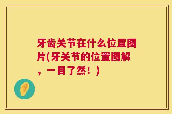 牙齿关节在什么位置图片(牙关节的位置图解，一目了然！)