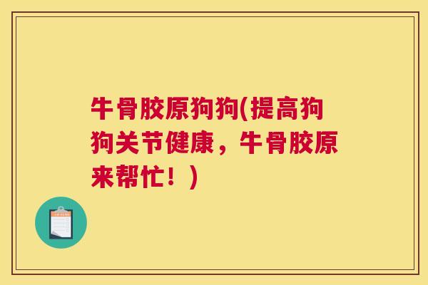 牛骨胶原狗狗(提高狗狗关节健康，牛骨胶原来帮忙！)