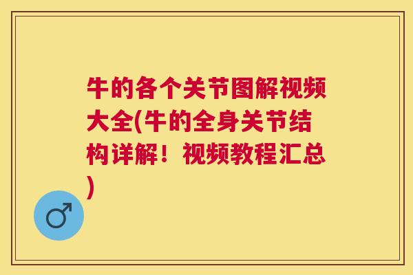 牛的各个关节图解视频大全(牛的全身关节结构详解！视频教程汇总)