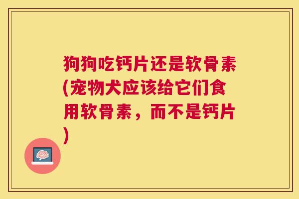 狗狗吃钙片还是软骨素(宠物犬应该给它们食用软骨素，而不是钙片)