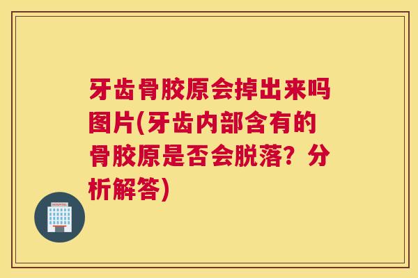 牙齿骨胶原会掉出来吗图片(牙齿内部含有的骨胶原是否会脱落？分析解答)