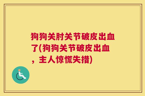狗狗关肘关节破皮出血了(狗狗关节破皮出血，主人惊慌失措)