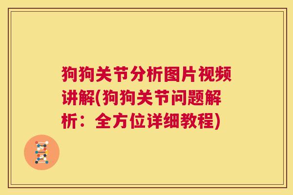 狗狗关节分析图片视频讲解(狗狗关节问题解析：全方位详细教程)