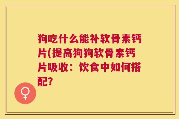 狗吃什么能补软骨素钙片(提高狗狗软骨素钙片吸收：饮食中如何搭配？