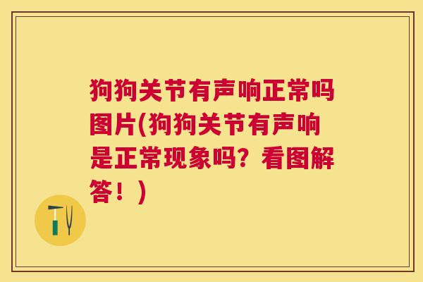 狗狗关节有声响正常吗图片(狗狗关节有声响是正常现象吗？看图解答！)