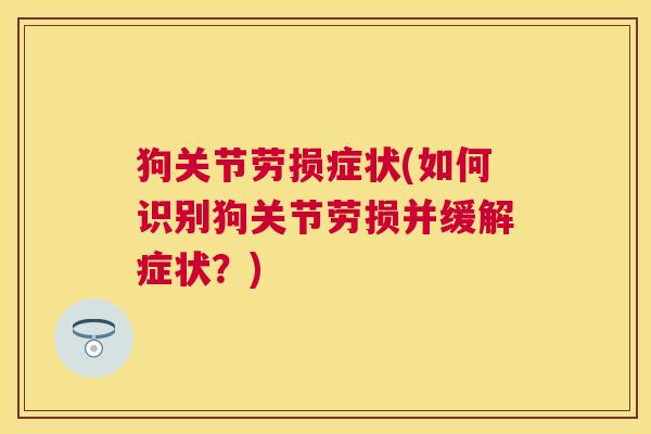 狗关节劳损症状(如何识别狗关节劳损并缓解症状？)