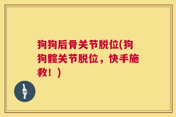 狗狗后骨关节脱位(狗狗髋关节脱位，快手施救！)