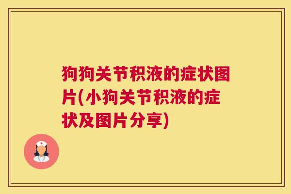 狗狗关节积液的症状图片(小狗关节积液的症状及图片分享)
